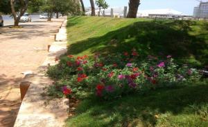 Mounds in BKC image 2